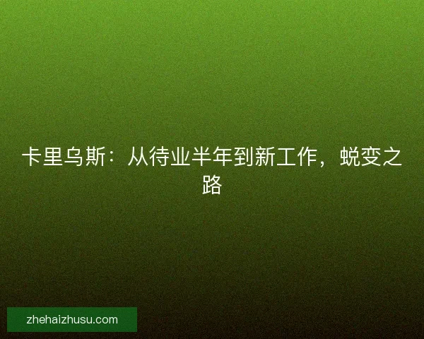 卡里乌斯：从待业半年到新工作，蜕变之路